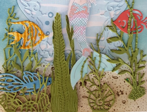 seaweed detail